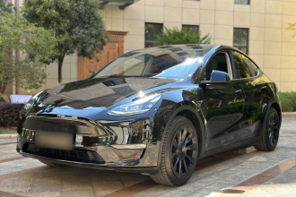 特斯拉 Model Y 2021款 标准续航后驱版