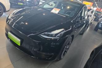 特斯拉 Model Y 2023款 高性能全轮驱动版