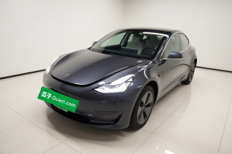 特斯拉 Model 3 2020款 改款 长续航后轮驱动版
