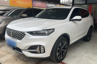 魏牌 VV6 2021款 2.0T 两驱儿童呵护版