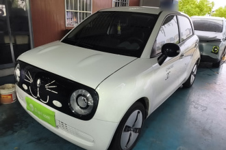 欧拉黑猫 2021款 301km 萌宠版