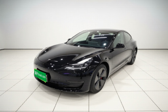 特斯拉 Model 3 2021款 标准续航后驱升级版 3D6