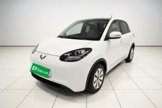 五菱汽车 五菱缤果 2023款 203km 轻享款