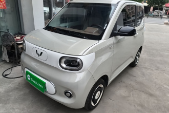 五菱汽车 宏光MINIEV 2024款 第三代 215km 青春版