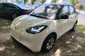 五菱汽车 五菱缤果 2025款 333km 悦享款
