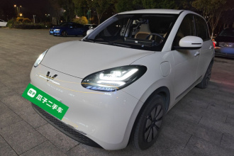 五菱汽车 五菱缤果 2023款 333km 悦享款