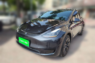 特斯拉 Model Y 2024款 后轮驱动版