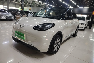 五菱汽车 五菱缤果 2024款 333km 悦享款