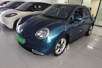 欧拉好猫 2021款 400km标准续航 维纳斯版 三元锂