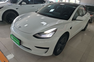 特斯拉 Model 3 2019款 标准续航后驱升级版