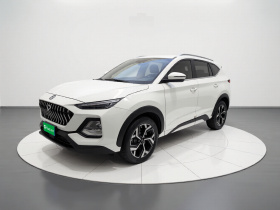 思皓X8 2021款 300T DCT领先智联版 7座