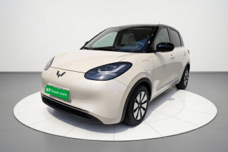 五菱汽车 五菱缤果 2024款 333km 悦享款