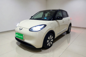 五菱汽车 五菱缤果 2023款 333km 灵犀互联+款