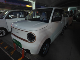 吉利银河 2024款 熊猫mini 200km 耐力熊