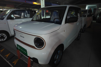 吉利银河 2024款 熊猫mini 200km 耐力熊