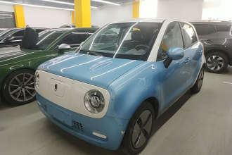 欧拉黑猫 2021款 301km 基础型