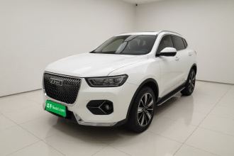 哈弗H6 2020款 2.0GDIT 自动GT冠军版