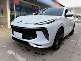 东风风行 风行T5 EVO 2021款 1.5TD DCT星耀版