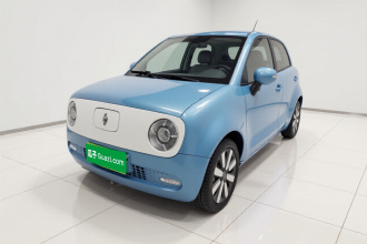 欧拉黑猫 2019款 351km 亲子版