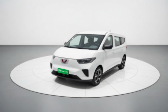 五菱汽车 五菱扬光 2024款 300km 舒适型客车版 60kW