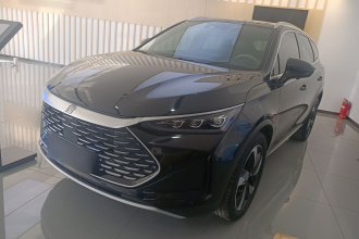 比亚迪 唐新能源 2024款 DM-i 荣耀版 112KM 尊贵型