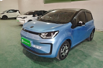 思皓 花仙子 2023款 周年款 301km 满天星 45kW