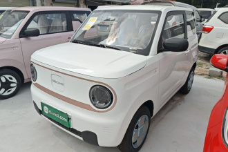 吉利银河 2024款 熊猫mini 200km 耐力熊