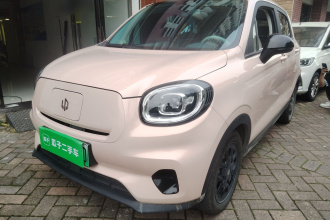 零跑汽车 零跑T03 2023款 310轻享版