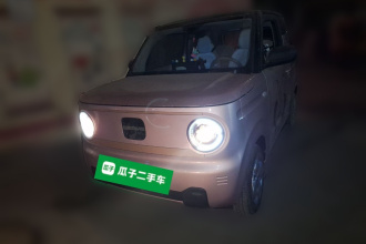 吉利银河 2024款 熊猫mini 200km 耐力熊
