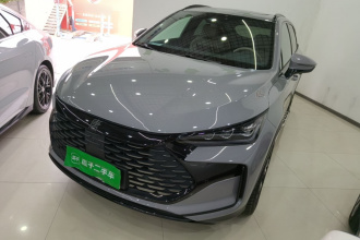 比亚迪 唐新能源 2025款 DM-i 115KM 尊荣型