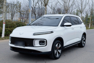 五菱汽车 五菱星云 2023款 2.0L DHT 标准版