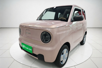 吉利银河 2023款 熊猫mini 200km 耐力熊