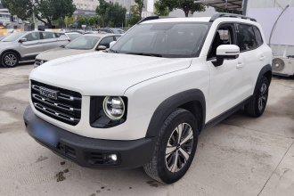 哈弗大狗 2021款 1.5T DCT两驱拉布拉多版