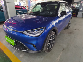 smart精灵#1 2022款 Pulse心动版