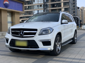 奔驰GL级AMG 2014款 AMG GL 63