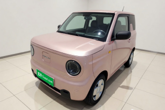 吉利银河 2023款 熊猫mini 200km 耐力熊