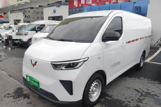 五菱汽车 五菱扬光 2024款 300km 实用型封窗版 60kW
