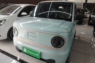 吉利银河 2023款 熊猫mini 200km 耐力熊