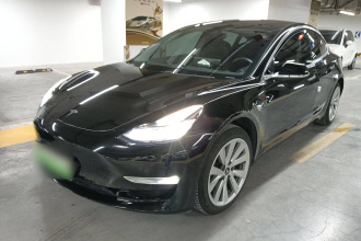 特斯拉 Model 3(进口) 2019款 长续航后驱版