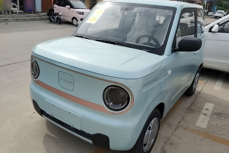 吉利银河 2024款 熊猫mini 200km 耐力熊