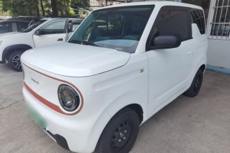 吉利银河 2023款 熊猫mini 200km 耐力熊