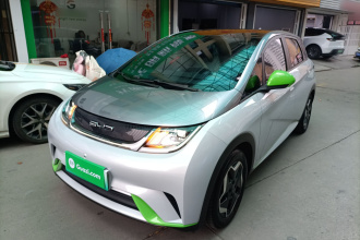 比亚迪 海豚 2021款 405km 时尚版