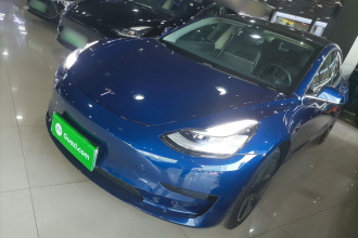 特斯拉 Model 3(进口) 2019款 标准续航后驱升级版(52度)