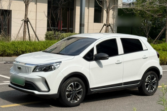 吉利几何 EX3 功夫牛 2021款 坚强牛牛