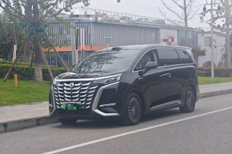 腾势D9 2025款 DM-i 智驾版 1020 四驱尊贵型