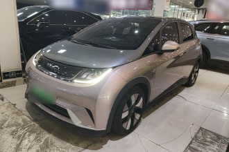 比亚迪 海豚 2021款 401km 骑士版