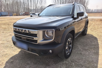 哈弗大狗 2024款 2.0T DCT中华田园犬版