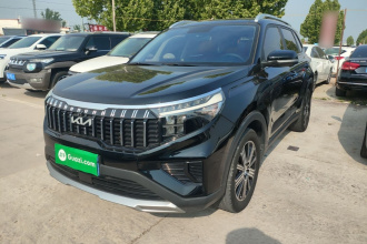 起亚 智跑 2021款 Ace 2.0L 精彩版