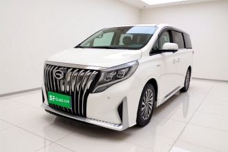 广汽传祺 传祺M8 2021款 大师系列 390T 至尊版