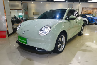 欧拉好猫 2023款 401km标准续航 豪华型 磷酸铁锂